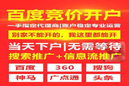 某某sem广告公司专案解读：SEM在旅游行业的成功实践